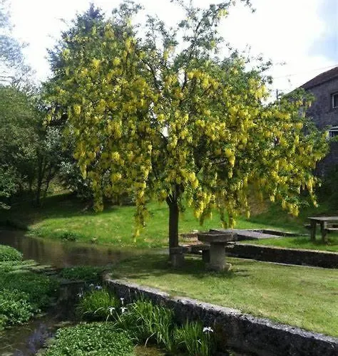 La Petite Maison Du Moulin De Scoville. * Hamois